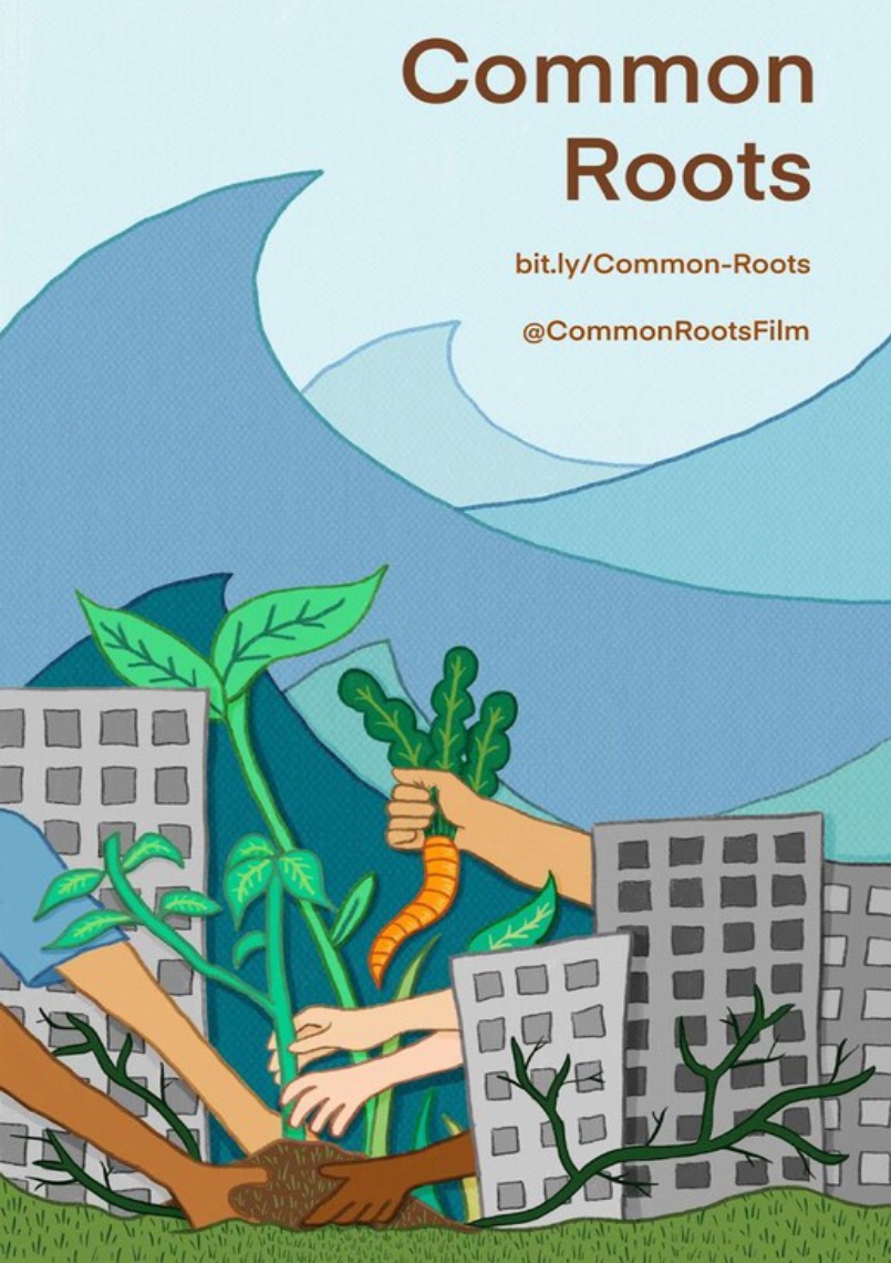 Common Roots – Center for Social and Economic Justice