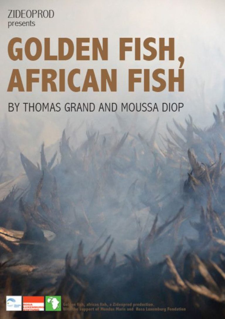 GOLDEN FISH, AFRICAN FISH